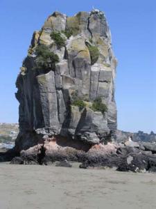 Pelarbasalt nära Christchurch.